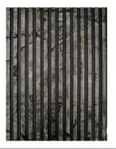 Premium Fluted Panels (In-Clad Series)